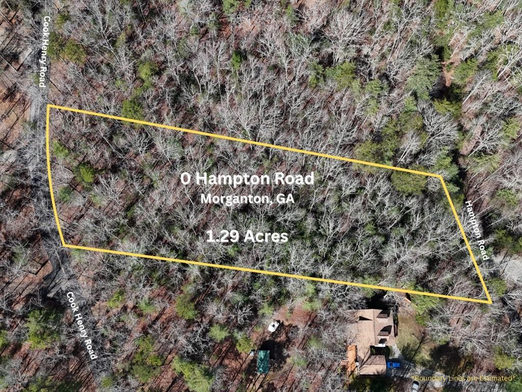 Hampton Rd., Morganton, GA 30560