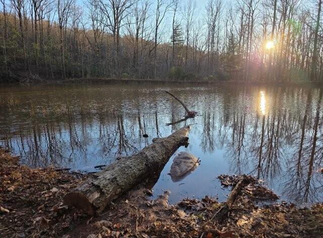 100 Hidden Hollow Ln., Dahlonega, GA 30533