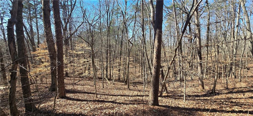 Tract Friendship Tr., Talking Rock, GA 30175