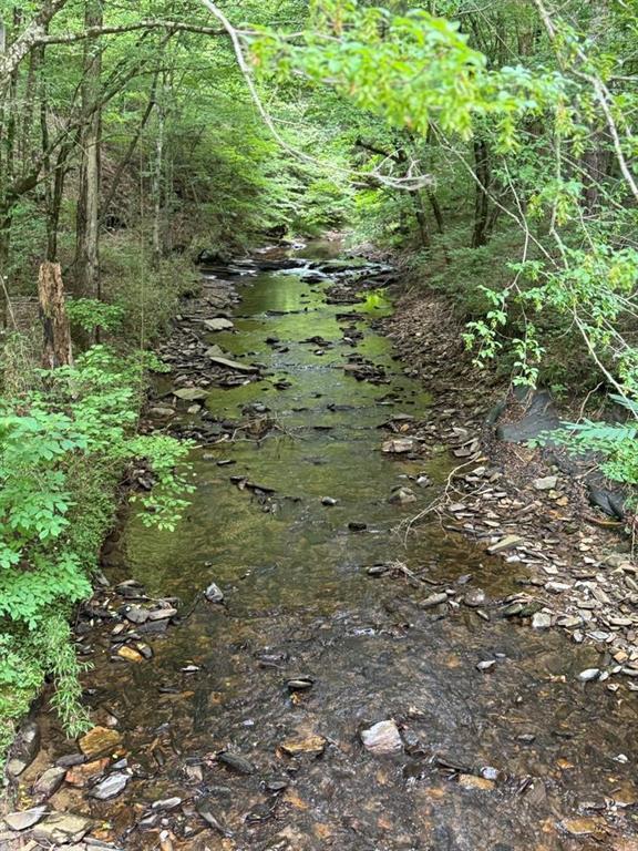 1634 Carman Way, Ranger, GA 30734