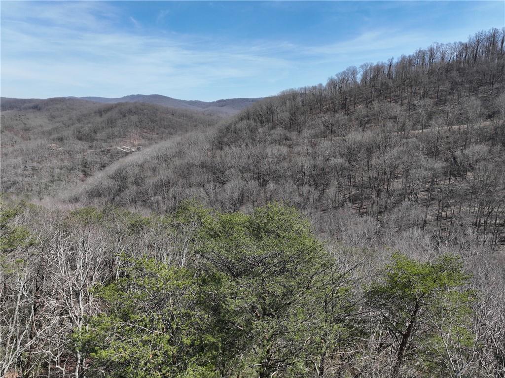 200 Stone Cliff Dr., Ellijay, GA 30536