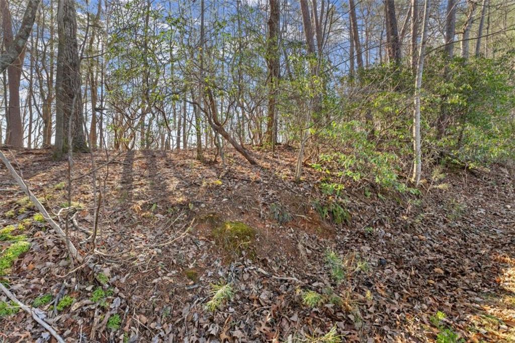 LOT 6 Sweet Apple Ln., Dahlonega, GA 30533