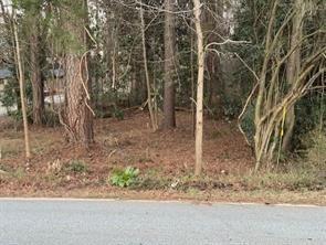 Yates Road, Land Lot #35, Atlanta, GA 30337
