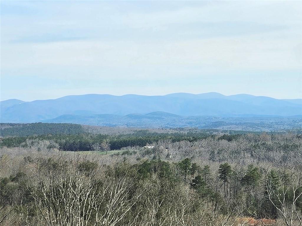 00 Old Federal Rd., Dawsonville, GA 30534