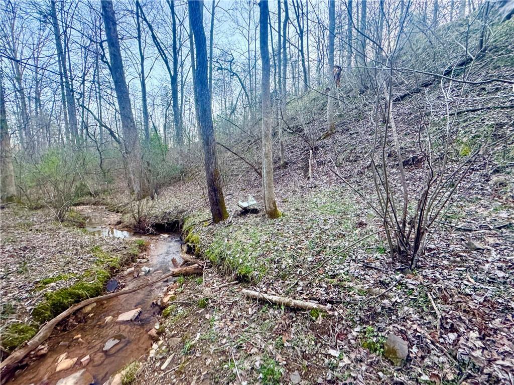 Hollybrook Rd., Dahlonega, GA 30533