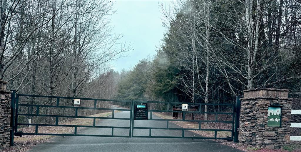 807 East Ridge Ln., Ellijay, GA 30536