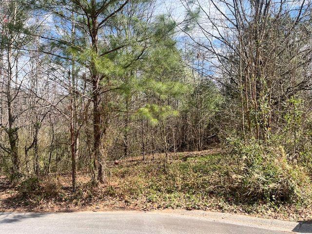 78 Heights Hollow, Acworth, GA 30101