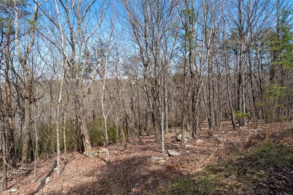 Mulberry Cir., Jasper, GA 30143