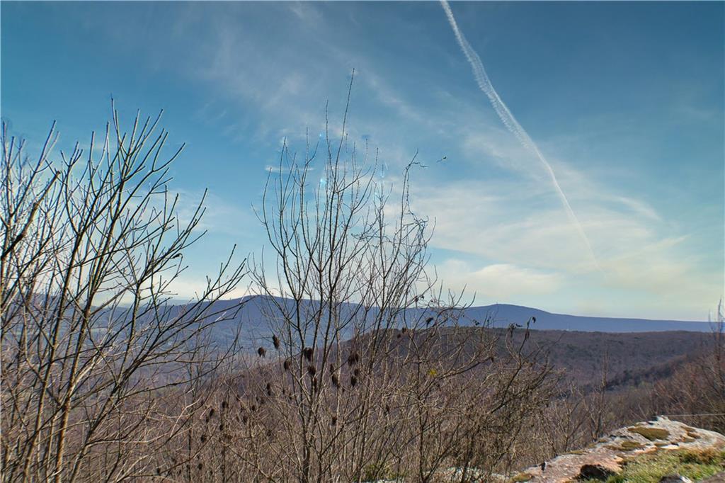 TBD 157 Highway, Rising Fawn, GA 30738