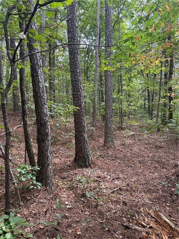 3826 Salacoa-tract C, Waleska, GA 30183