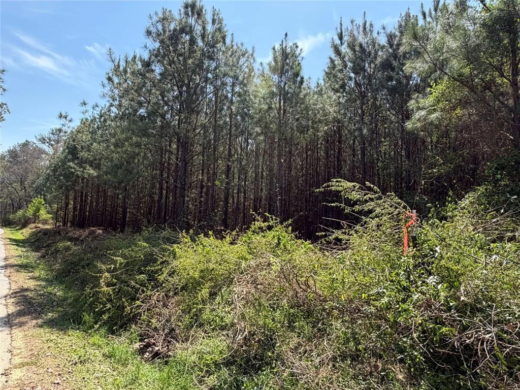 84 Popham Road Tract 3, Taylorsville, GA 30178