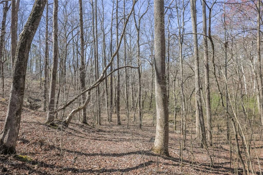 Lot 62 Cherokee Wood Hollow Dr, Ball Ground, GA 30107