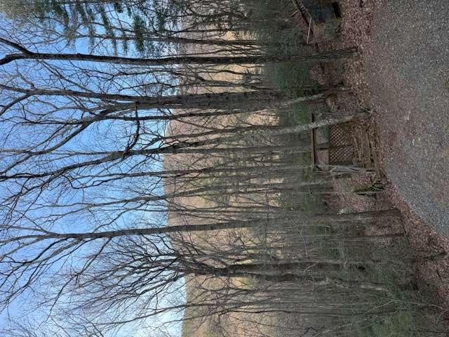 136 Little Rock Creek Tr., Cherry Log, GA 30522