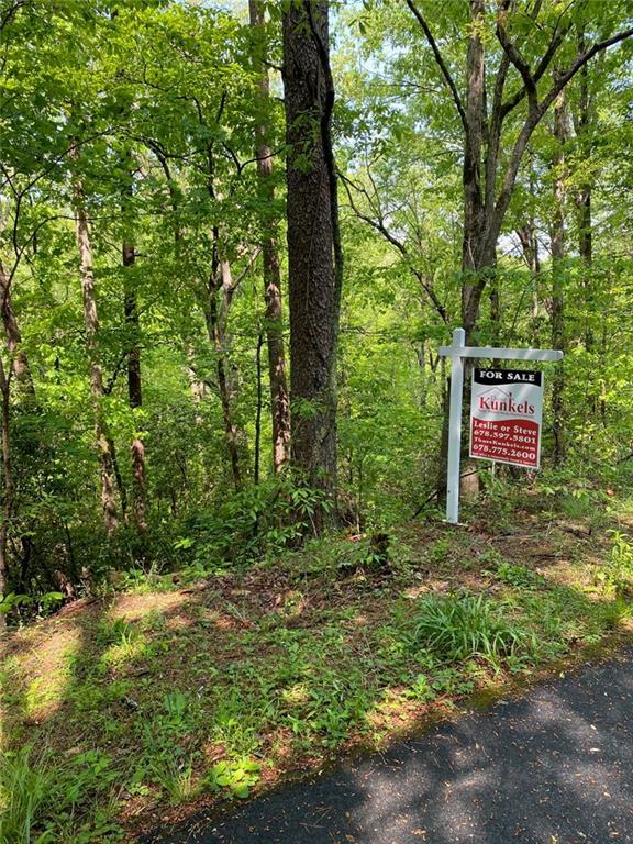 31 Valhalla Dr., Cleveland, GA 30528