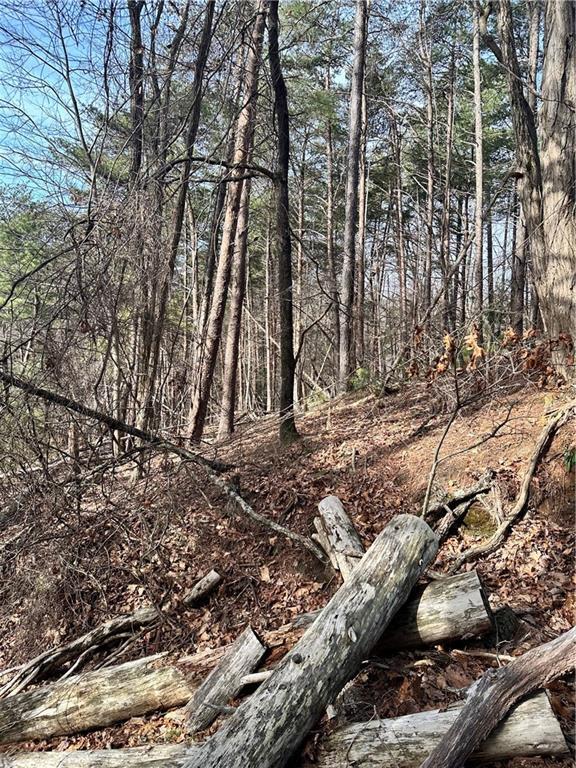 Log Swamp Dr. Dr., Jasper, GA 30143