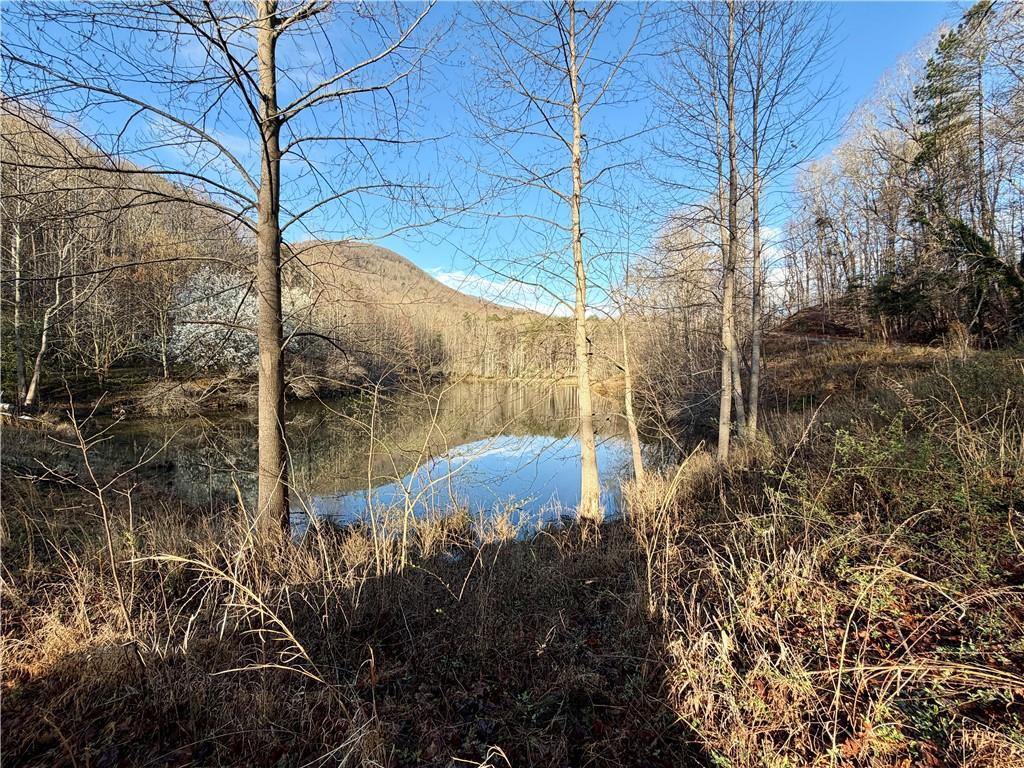 1565 Shoal Creek Rd., Clermont, GA 30527