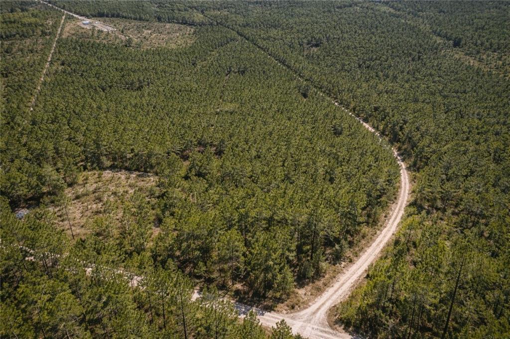 Long Ford, Jesup, GA 31546