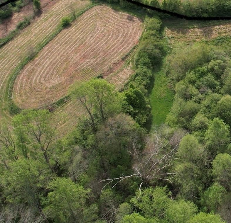 0000 Franklin Goldmine 6.56 Acres Rd., Cumming, GA 30028