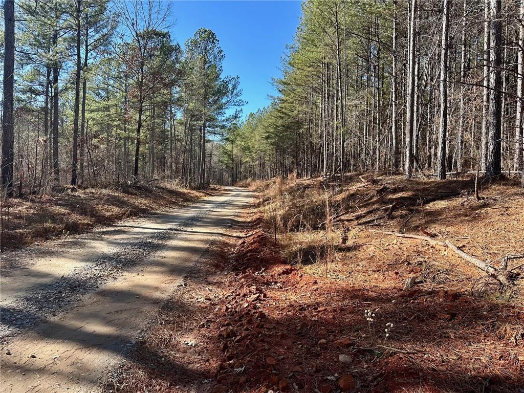 1107 Larmon Forks Rd., Dahlonega, GA 30533