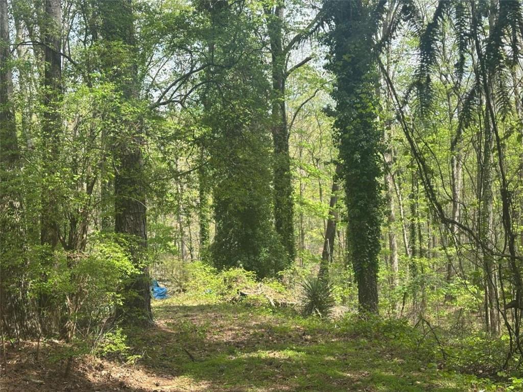 00 Yancey Rd., Douglasville, GA 30135