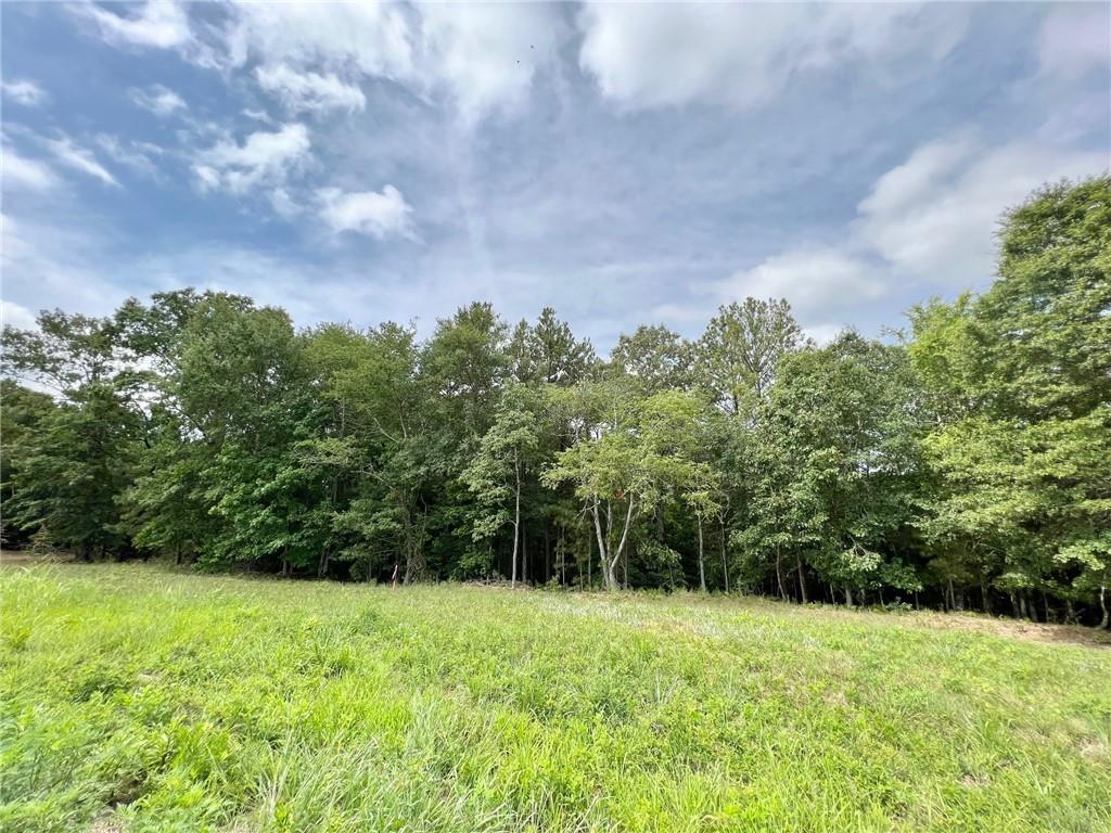 138 Daniel Ridge, Cartersville, GA 30120