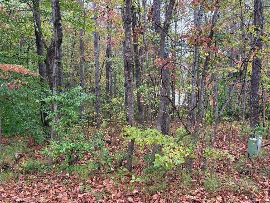 2313 Larchmont Ct., Villa Rica, GA 30180