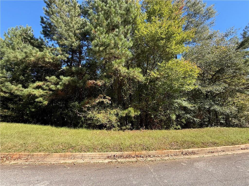 1333 Nickel Oak Bend, Mcdonough, GA 30252