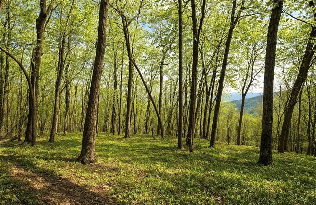 Burnt Mtn Cove Rd., Jasper, GA 30143