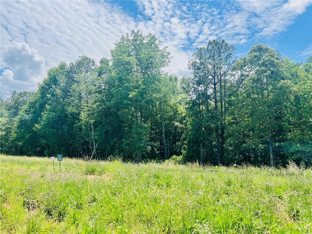 136 Daniel Ridge, Cartersville, GA 30120