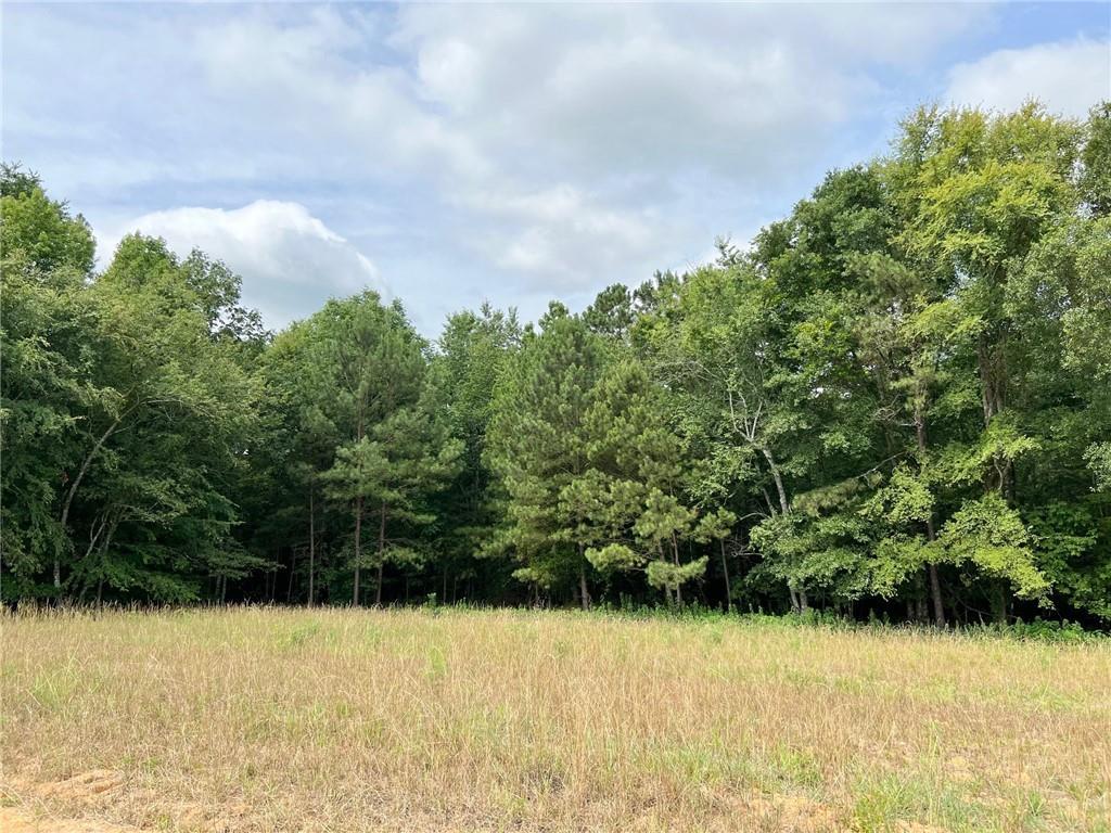 130 Daniel Ridge, Cartersville, GA 30120