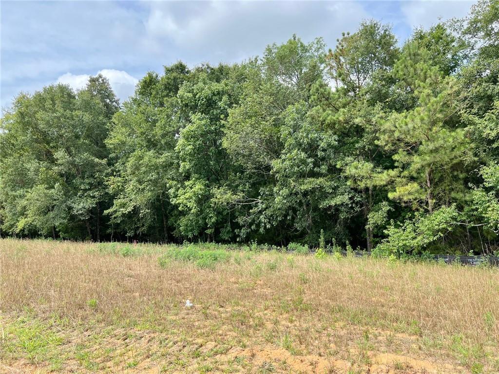 128 Daniel Ridge, Cartersville, GA 30120