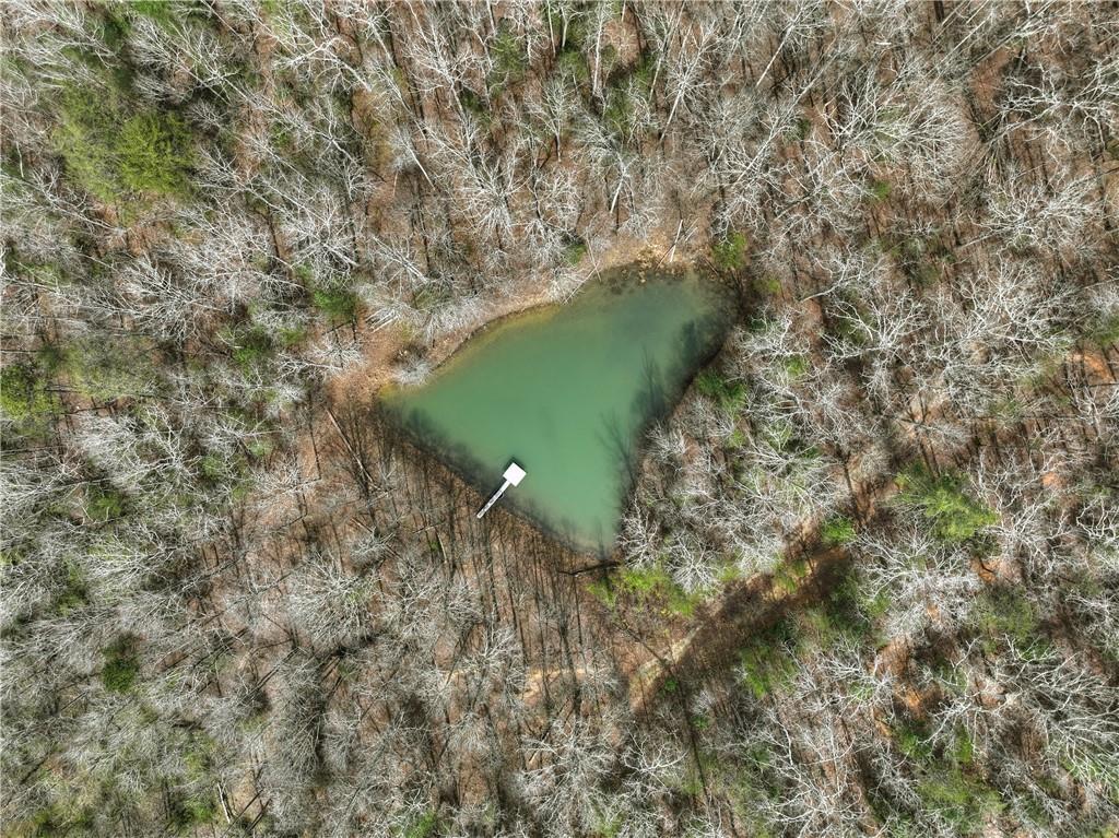 8.52 Ac Mcnelley Rd., Morganton, GA 30560