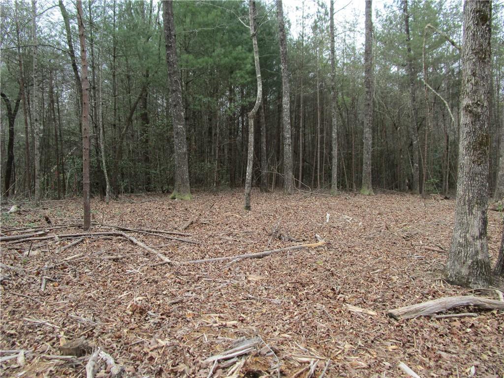 3 AC East New Hope Rd., Ellijay, GA 30536