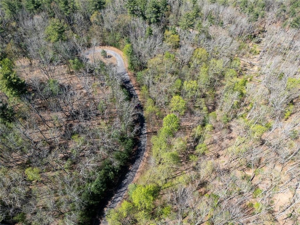 Laurel Tr., Suches, GA 30572