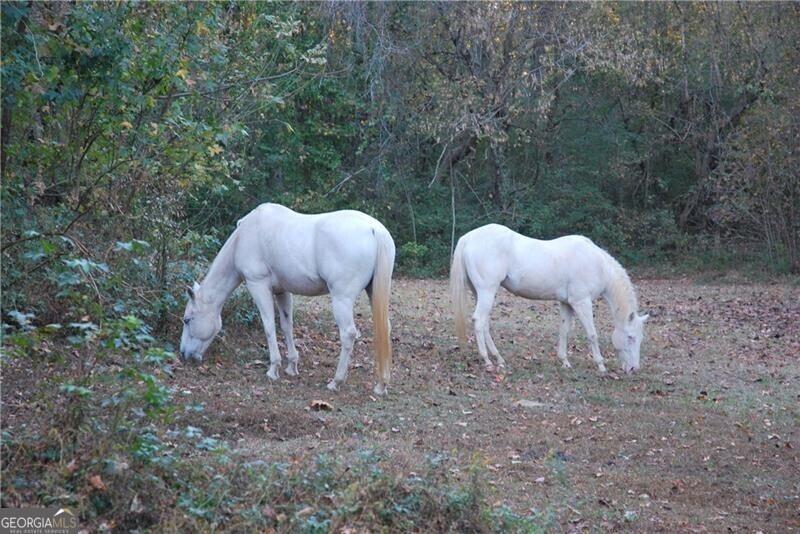 4271 Panthersville Rd., Ellenwood, GA 30294