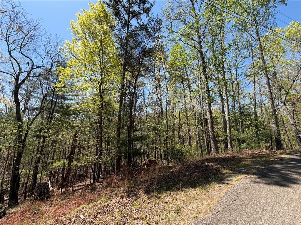 812 Horse Cove Ct., Jasper, GA 30143