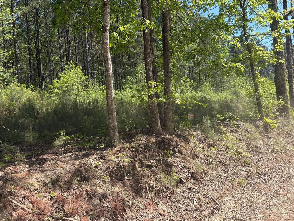 7500 Tyree Rd., Winston, GA 30187