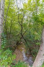 4033 Hidden Hollow Dr., Gainesville, GA 30506