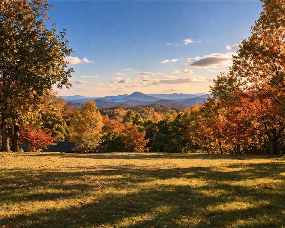 664 Chenocetah Dr., Cornelia, GA 30531