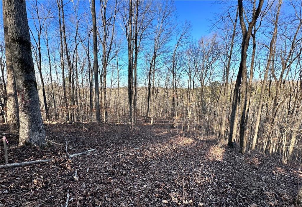 8555 Woodland Brooke Tr., Cumming, GA 30028