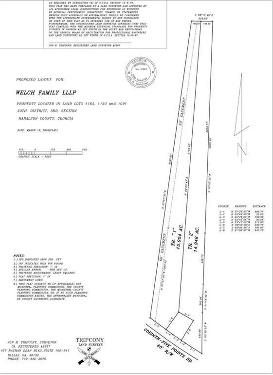 00 Corinth-five Points Trac # 2 Rd., Buchanan, GA 30113
