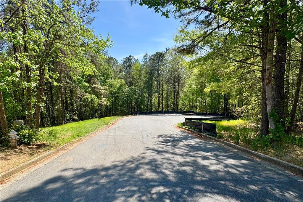 139 Constitution Pointe, Dallas, GA 30132