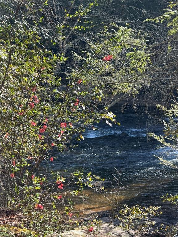 Frogtown Place, Dahlonega, GA 30533