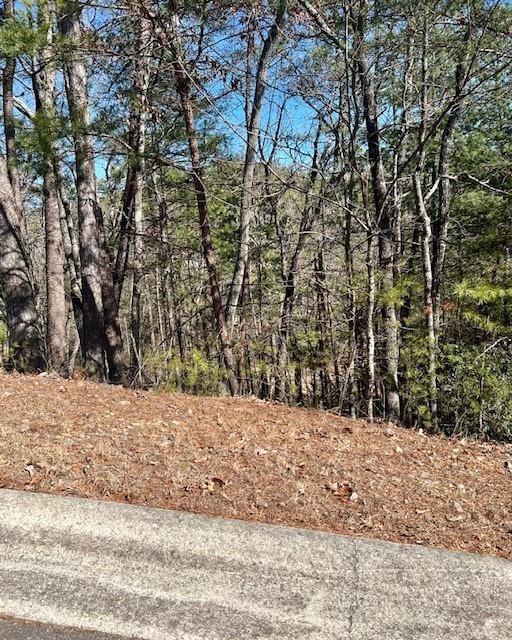 Rosen Strasse, Helen, GA 30545