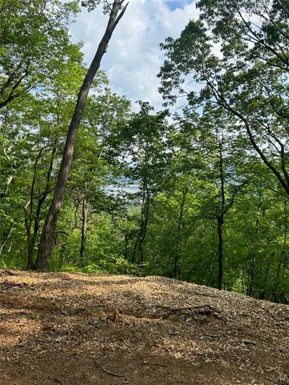 324 Adair Dr., Ranger, GA 30734