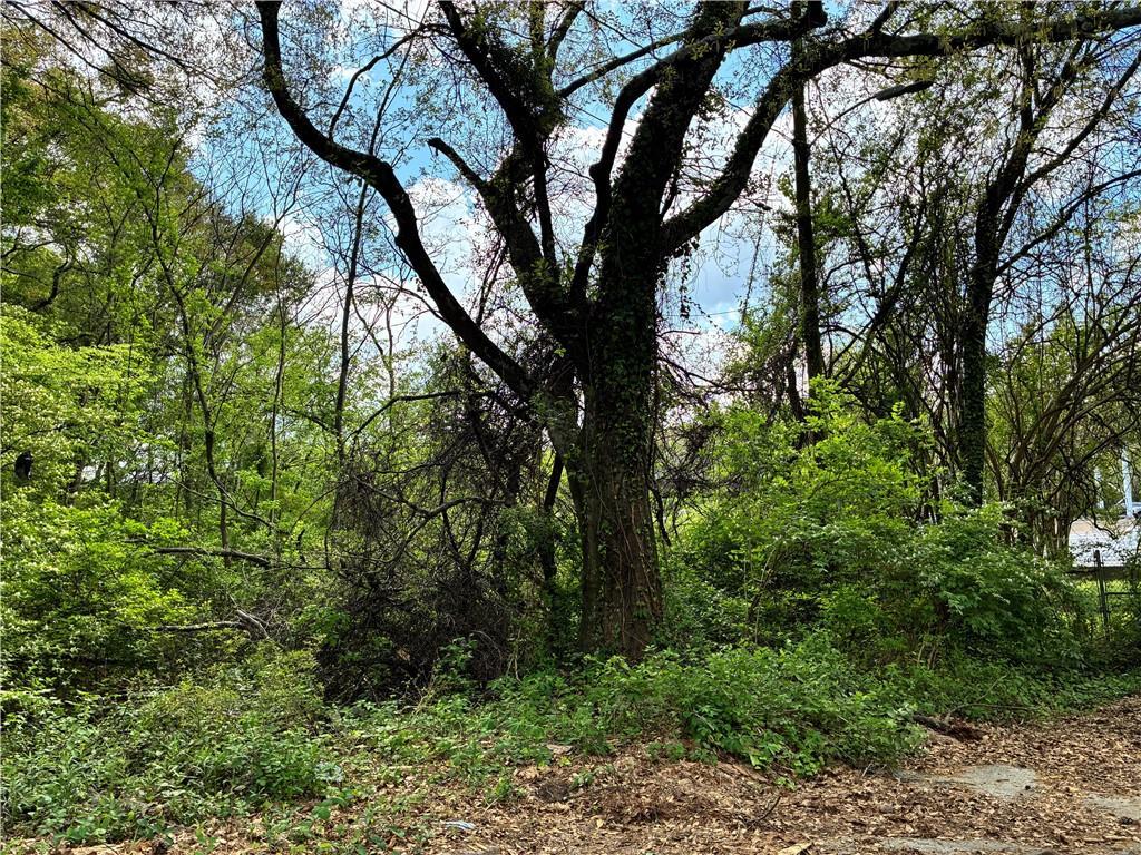 420 Pickfair Ave., Atlanta, GA 30315