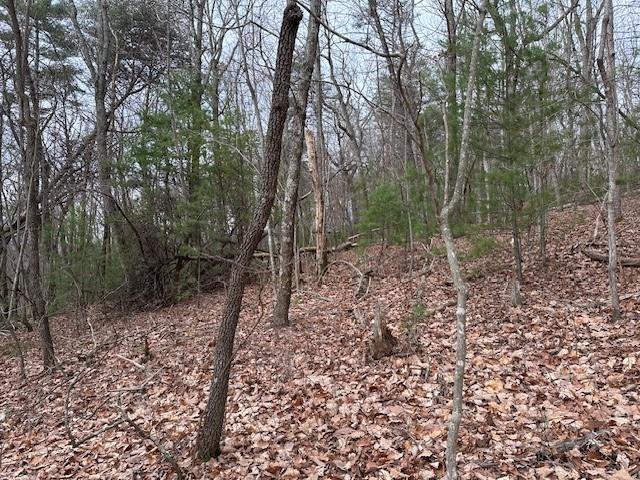 Lot 9 Marjorie Ave, Ellijay, GA 30536