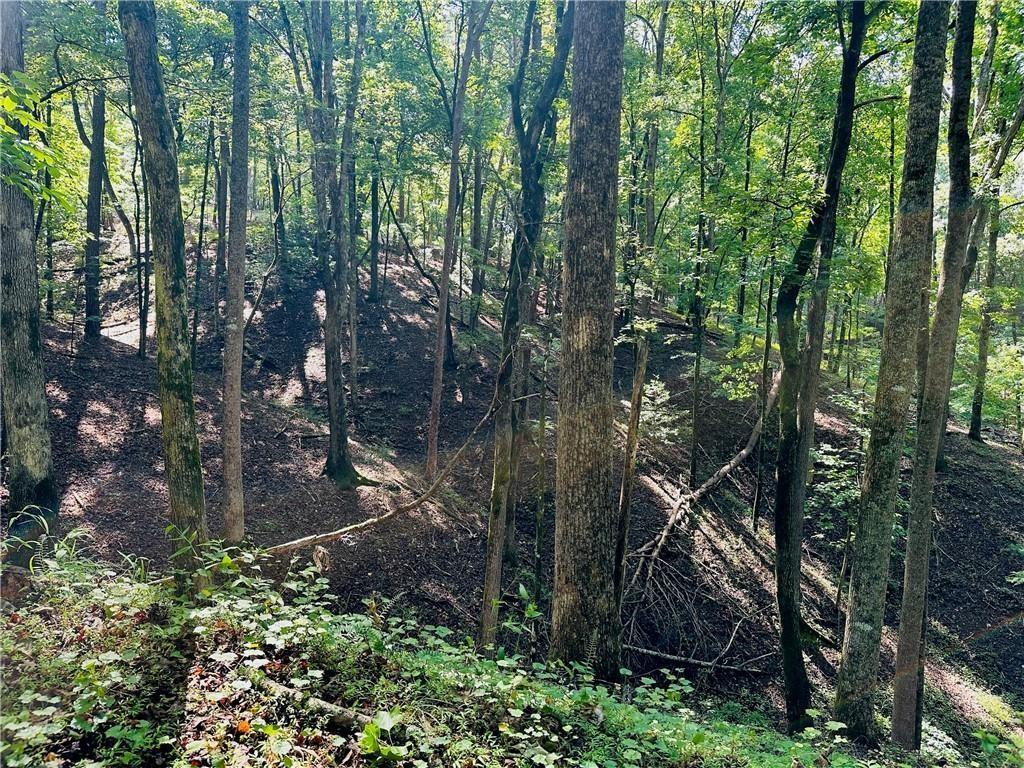 7.123 Acres Halls Mill Rd., Dahlonega, GA 30533