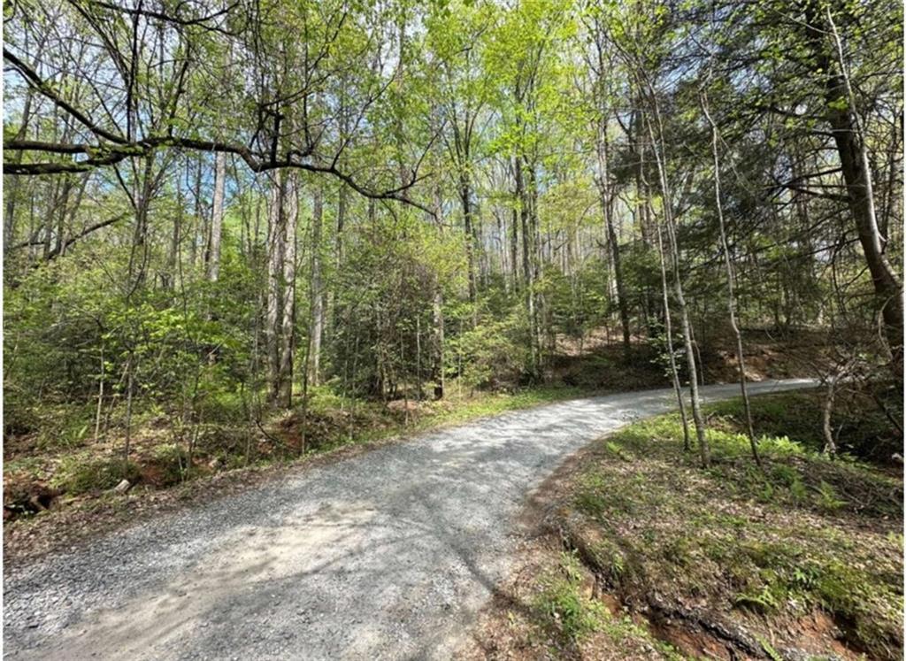 LOT 20 Big Ben Rd., Ellijay, GA 30540