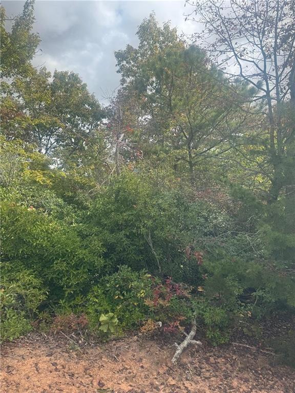 Lot 16 Brown Hawk Dr., Clayton, GA 30525